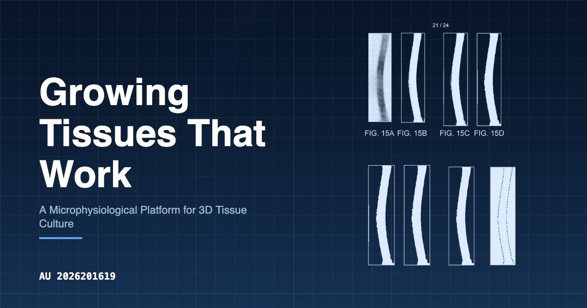 Tissue Growing Growing Tissues That Work | Patent Applications Open to Public ...